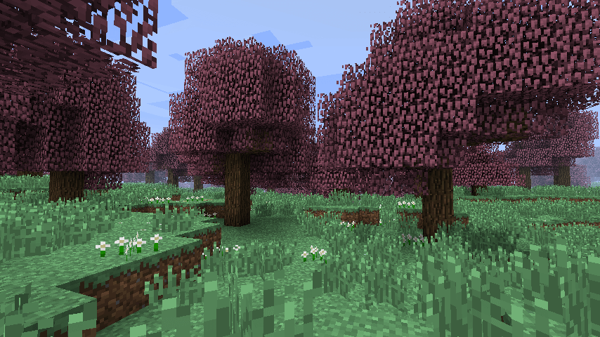 Minecraft: Bedrock Edition biome